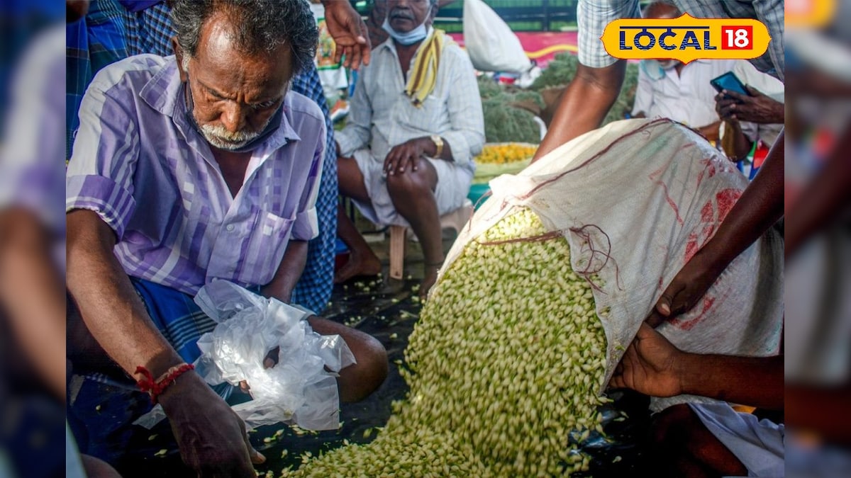 Madurai  Flower Price: வந்தாச்சு கிறிஸ்துமஸ் கொண்டாட்டம்… எகிறிய மதுரை மல்லிகை பூவின் விலை…