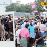 Goat Sales| அடேங்கப்பா… ரூ.7 கோடிக்கு ஆடுகள் விற்பனை பொங்கலை முன்னிட்டு களைகட்டிய எட்டயபுரம் ஆட்டுச்சந்தை