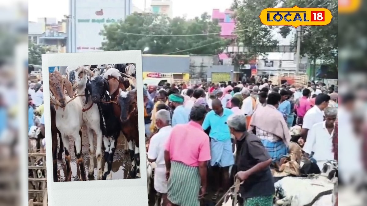 Goat Sales| அடேங்கப்பா… ரூ.7 கோடிக்கு ஆடுகள் விற்பனை பொங்கலை முன்னிட்டு களைகட்டிய எட்டயபுரம் ஆட்டுச்சந்தை